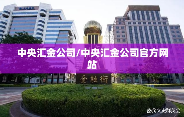 中央汇金公司/中央汇金公司官方网站