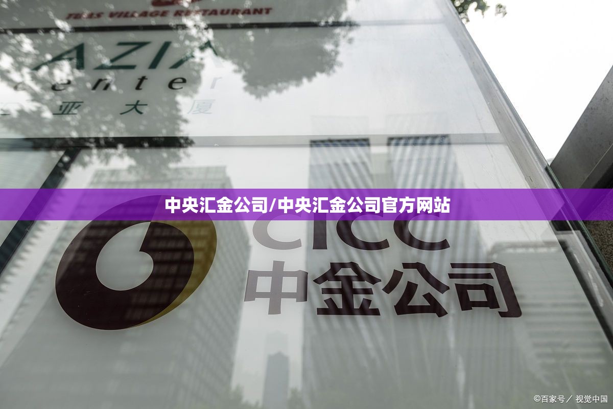 中央汇金公司/中央汇金公司官方网站