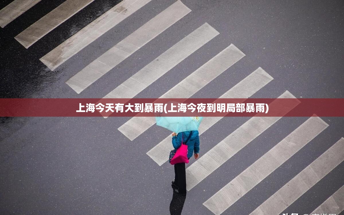 上海今天有大到暴雨(上海今夜到明局部暴雨)