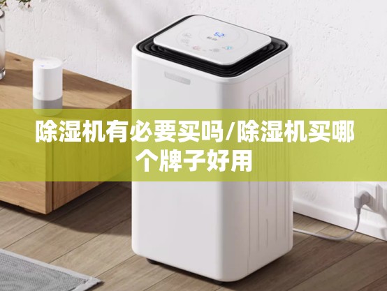 除湿机有必要买吗/除湿机买哪个牌子好用