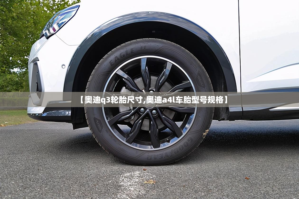 【奥迪q3轮胎尺寸,奥迪a4l车胎型号规格】