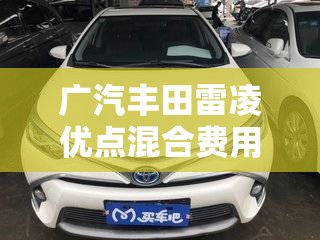 广汽丰田雷凌优点混合费用/广汽丰田雷凌双擎油电混合费用