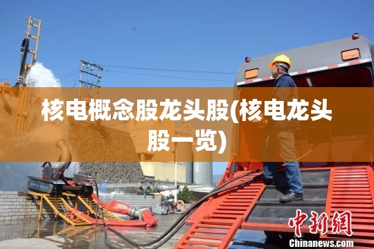 核电概念股龙头股(核电龙头股一览) 核电概念股龙头股(核电龙头股一览)