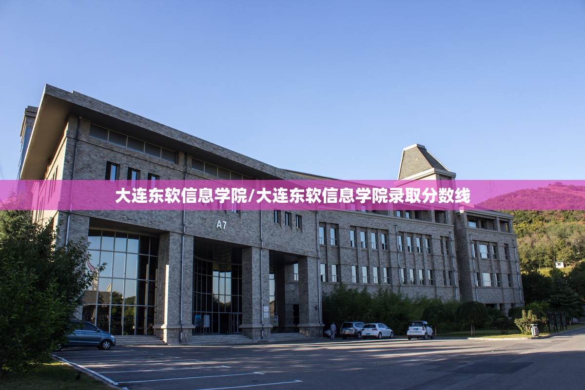 大连东软信息学院/大连东软信息学院录取分数线