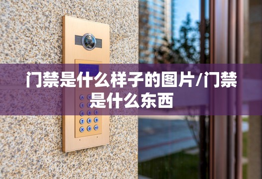 门禁是什么样子的图片/门禁是什么东西