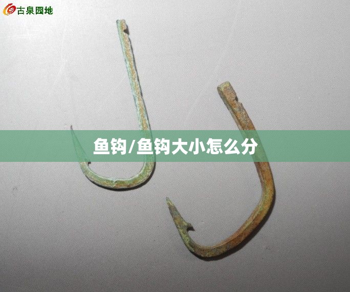 鱼钩/鱼钩大小怎么分