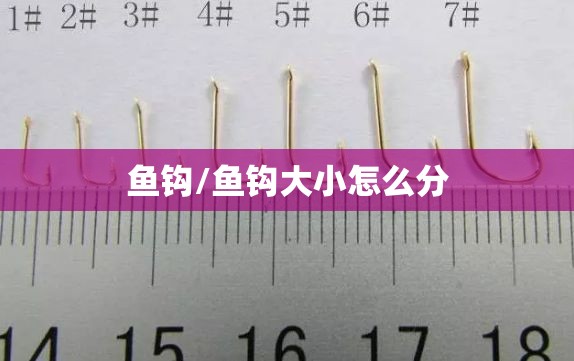 鱼钩/鱼钩大小怎么分