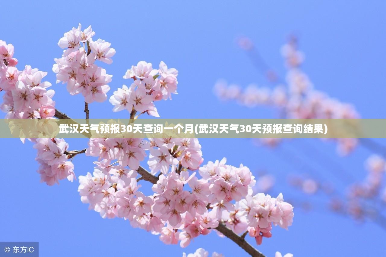 武汉天气预报30天查询一个月(武汉天气30天预报查询结果)