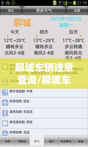 聊城车辆违章查询/聊城车辆违章查询系统