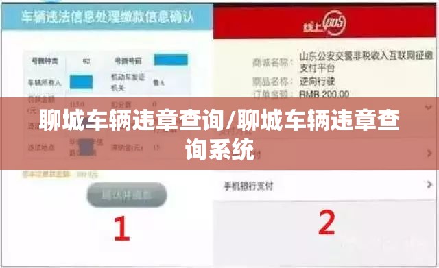 聊城车辆违章查询/聊城车辆违章查询系统