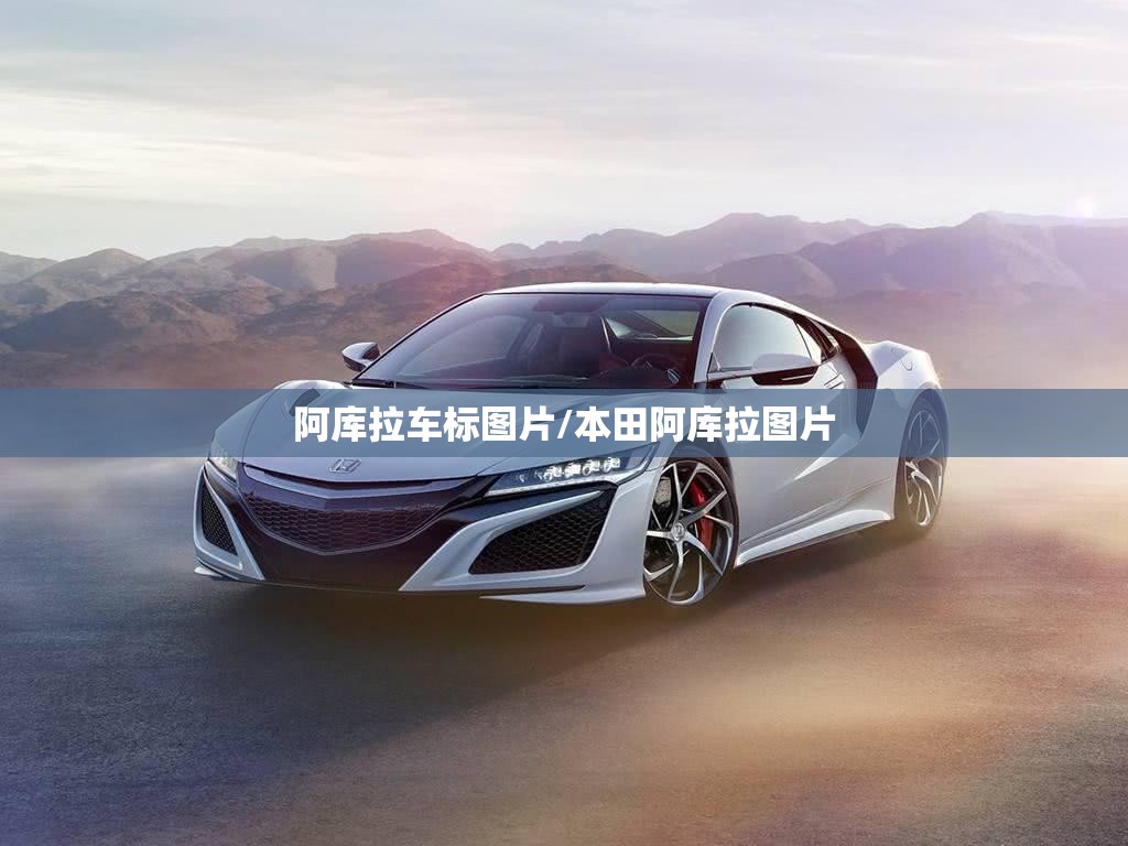 阿库拉车标图片/本田阿库拉图片