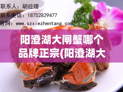 阳澄湖大闸蟹哪个品牌正宗(阳澄湖大闸蟹排名前十)
