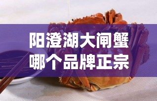 阳澄湖大闸蟹哪个品牌正宗(阳澄湖大闸蟹排名前十)