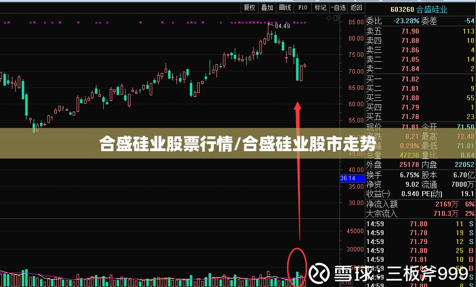 合盛硅业股票行情/合盛硅业股市走势