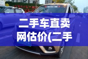 二手车直卖网估价(二手车直卖网哪家好)