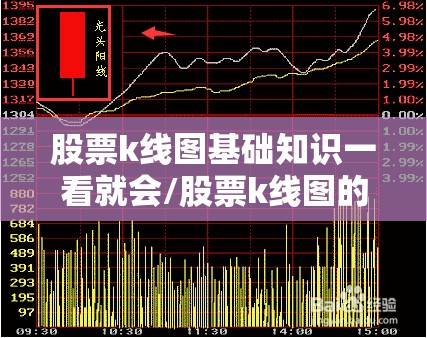 股票k线图基础知识一看就会/股票k线图的书籍