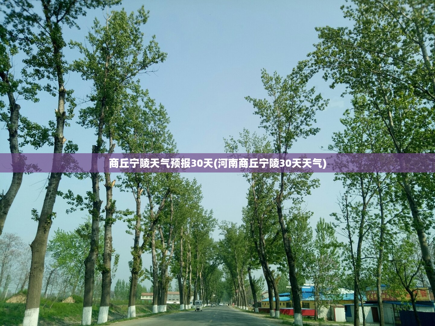 商丘宁陵天气预报30天(河南商丘宁陵30天天气)