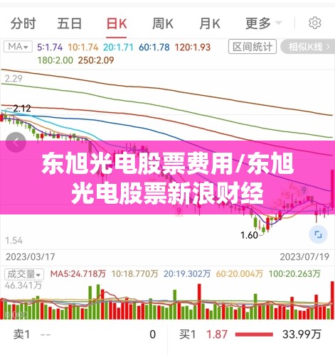 东旭光电股票费用/东旭光电股票新浪财经
