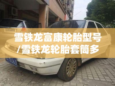 雪铁龙富康轮胎型号/雪铁龙轮胎套筒多大