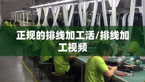 正规的排线加工活/排线加工视频