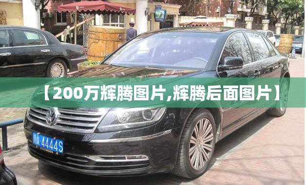 【200万辉腾图片,辉腾后面图片】