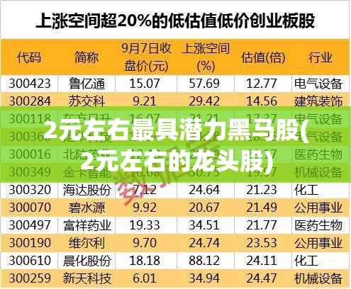 2元左右最具潜力黑马股(2元左右的龙头股)