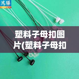 塑料子母扣图片(塑料子母扣怎么解开)