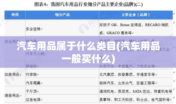 汽车用品属于什么类目(汽车用品一般买什么)
