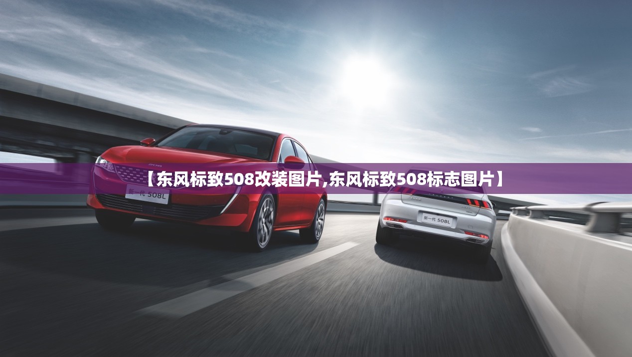 【东风标致508改装图片,东风标致508标志图片】