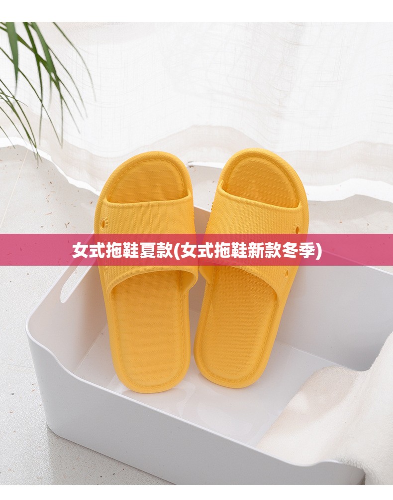 女式拖鞋夏款(女式拖鞋新款冬季)
