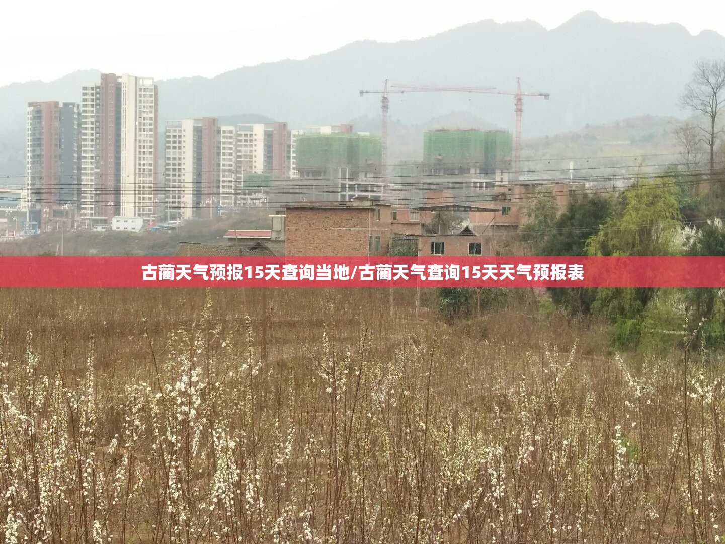 古蔺天气预报15天查询当地/古蔺天气查询15天天气预报表