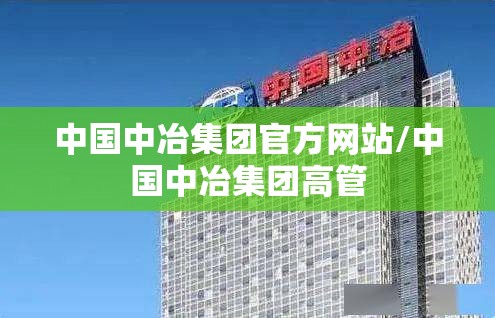 中国中冶集团官方网站/中国中冶集团高管
