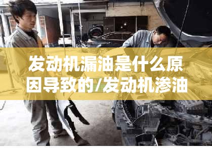 发动机漏油是什么原因导致的/发动机渗油是大问题吗 发动机漏油是什么原因导致的/发动机渗油是大问题吗