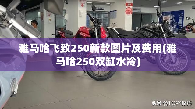 【接地电阻测试仪多少钱一台,接地电阻测试仪视频怎么用】