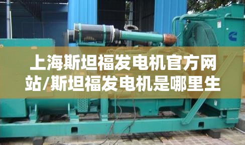 上海斯坦福发电机官方网站/斯坦福发电机是哪里生产的 上海斯坦福发电机官方网站/斯坦福发电机是哪里生产的