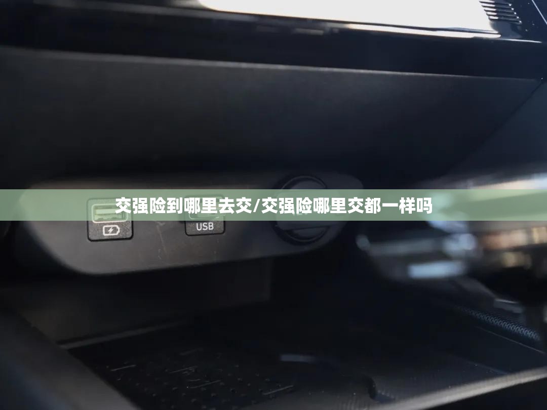 交强险到哪里去交/交强险哪里交都一样吗