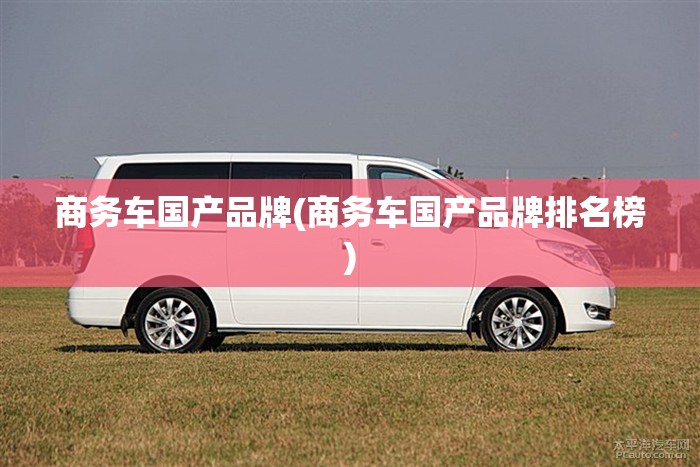 商务车国产品牌(商务车国产品牌排名榜)