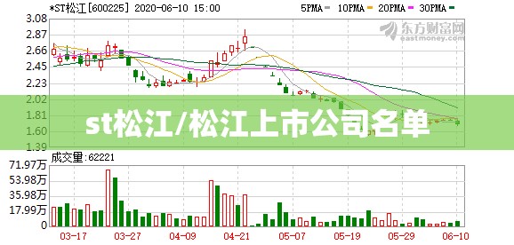 st松江/松江上市公司名单