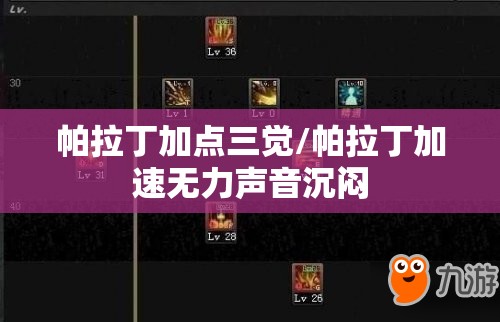 帕拉丁加点三觉/帕拉丁加速无力声音沉闷