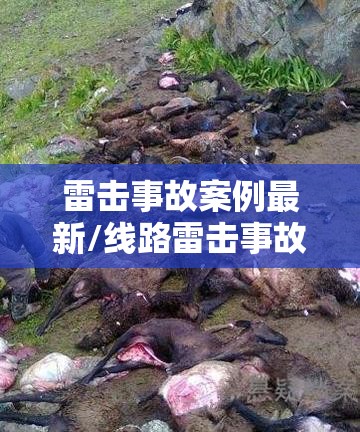 雷击事故案例最新/线路雷击事故案例分析