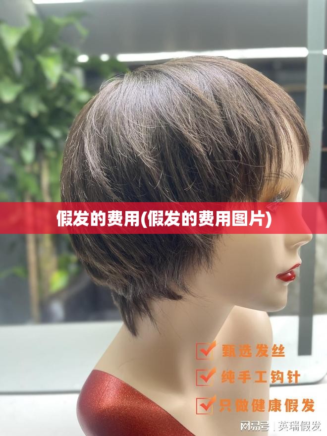 假发的费用(假发的费用图片)