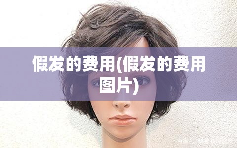 假发的费用(假发的费用图片)