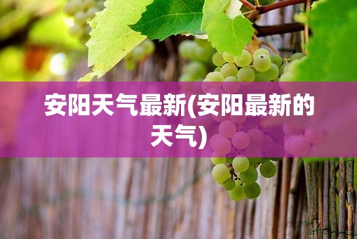 安阳天气最新(安阳最新的天气) 安阳天气最新(安阳最新的天气)