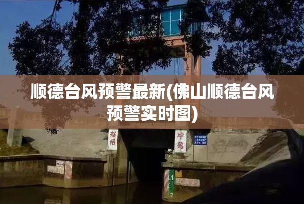 顺德台风预警最新(佛山顺德台风预警实时图)