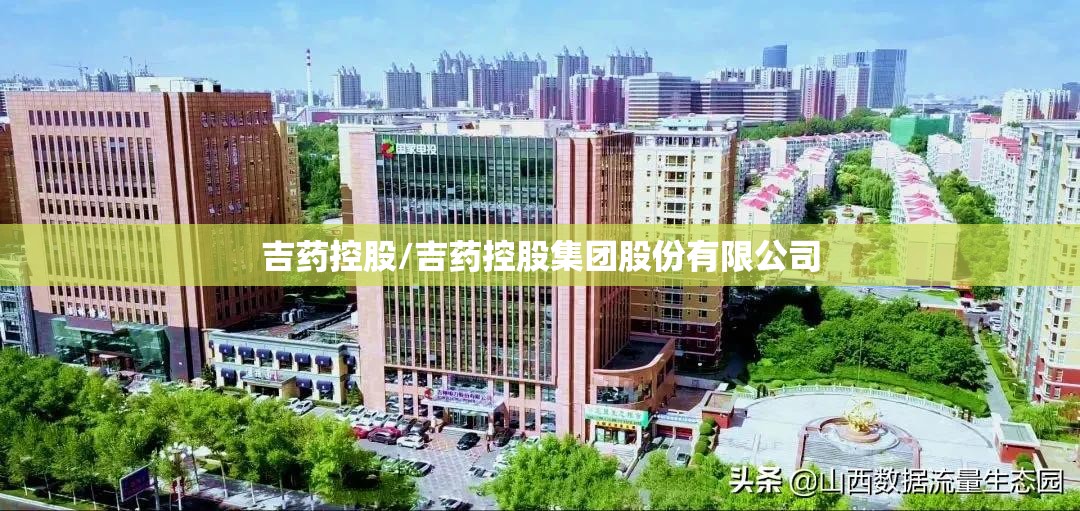 吉药控股/吉药控股集团股份有限公司