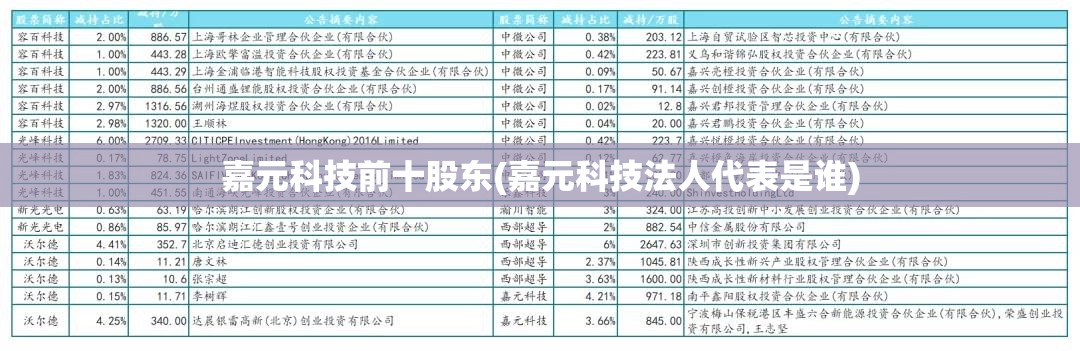 嘉元科技前十股东(嘉元科技法人代表是谁)