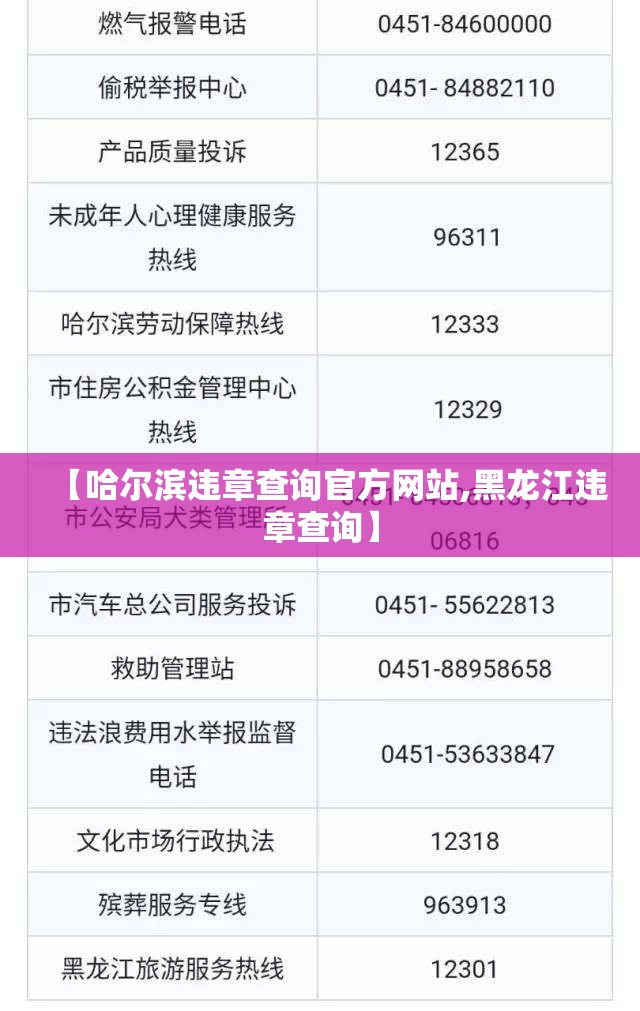 【哈尔滨违章查询官方网站,黑龙江违章查询】 【哈尔滨违章查询官方网站,黑龙江违章查询】