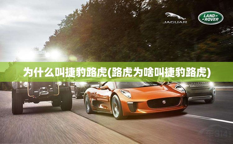 为什么叫捷豹路虎(路虎为啥叫捷豹路虎)