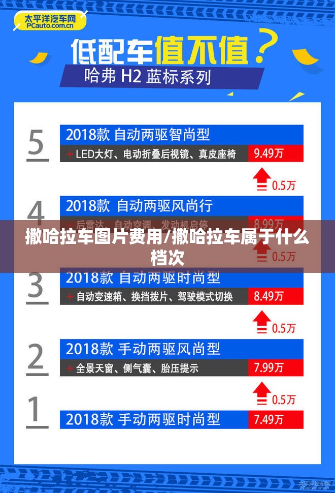 撒哈拉车图片费用/撒哈拉车属于什么档次