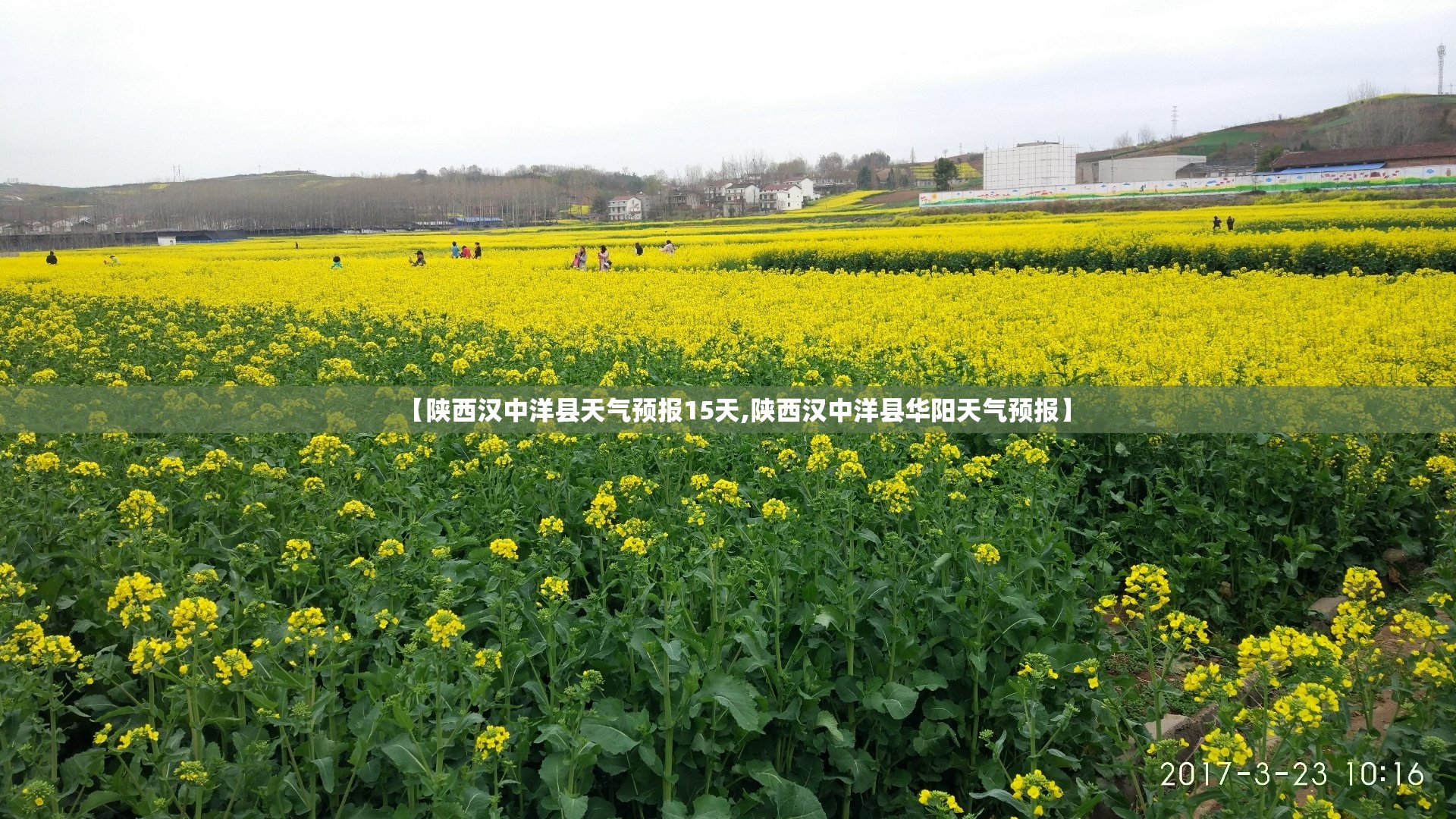 【陕西汉中洋县天气预报15天,陕西汉中洋县华阳天气预报】